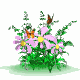 Blumen und Schmetterlinge