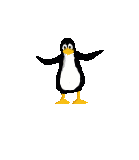 der Pinguin
