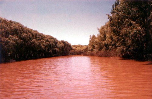 Tigre-Delta